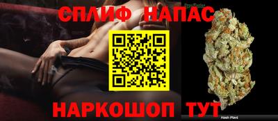 мдпв Пугачёв